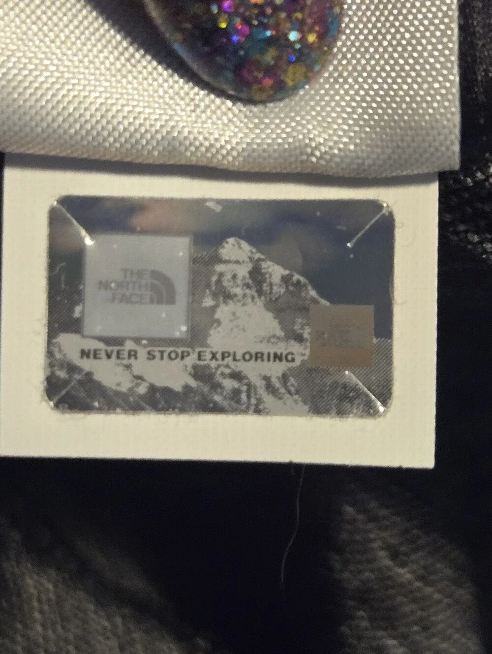 The North Face north face